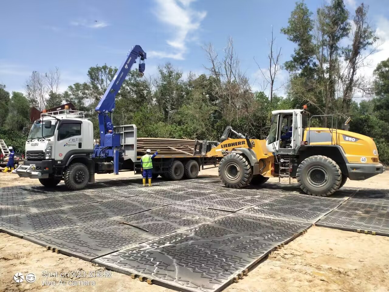 Commercial timber and woodland operation.jpg