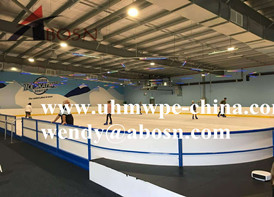 Hockey Dasher Board in Australia