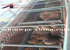 UHMWPE Liner in Palm Oil Mill