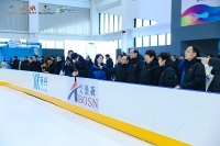 Abosn Hockey Rink with Synthetic ice