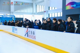 Abosn Hockey Rink with Synthetic ice